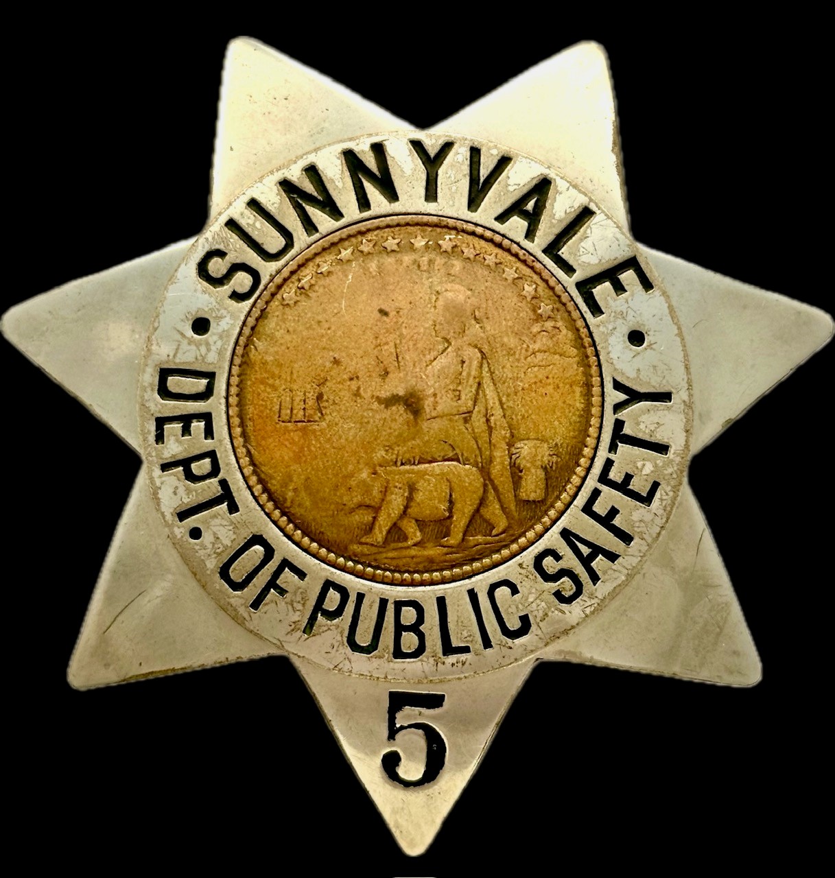 Sunnyvale DPS badge 5 
