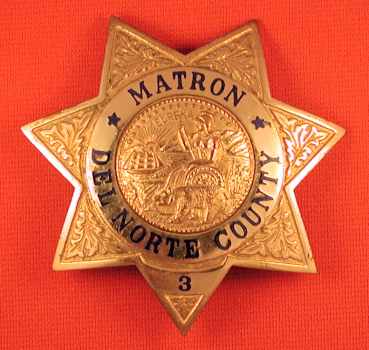 delnortematron3-350