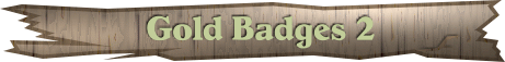 goldbadgesbanner2 goldbadgesbanner2