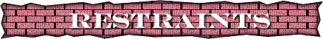 restraintsbnr
