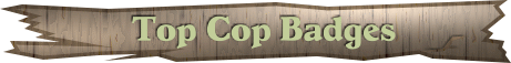 topcopbanner