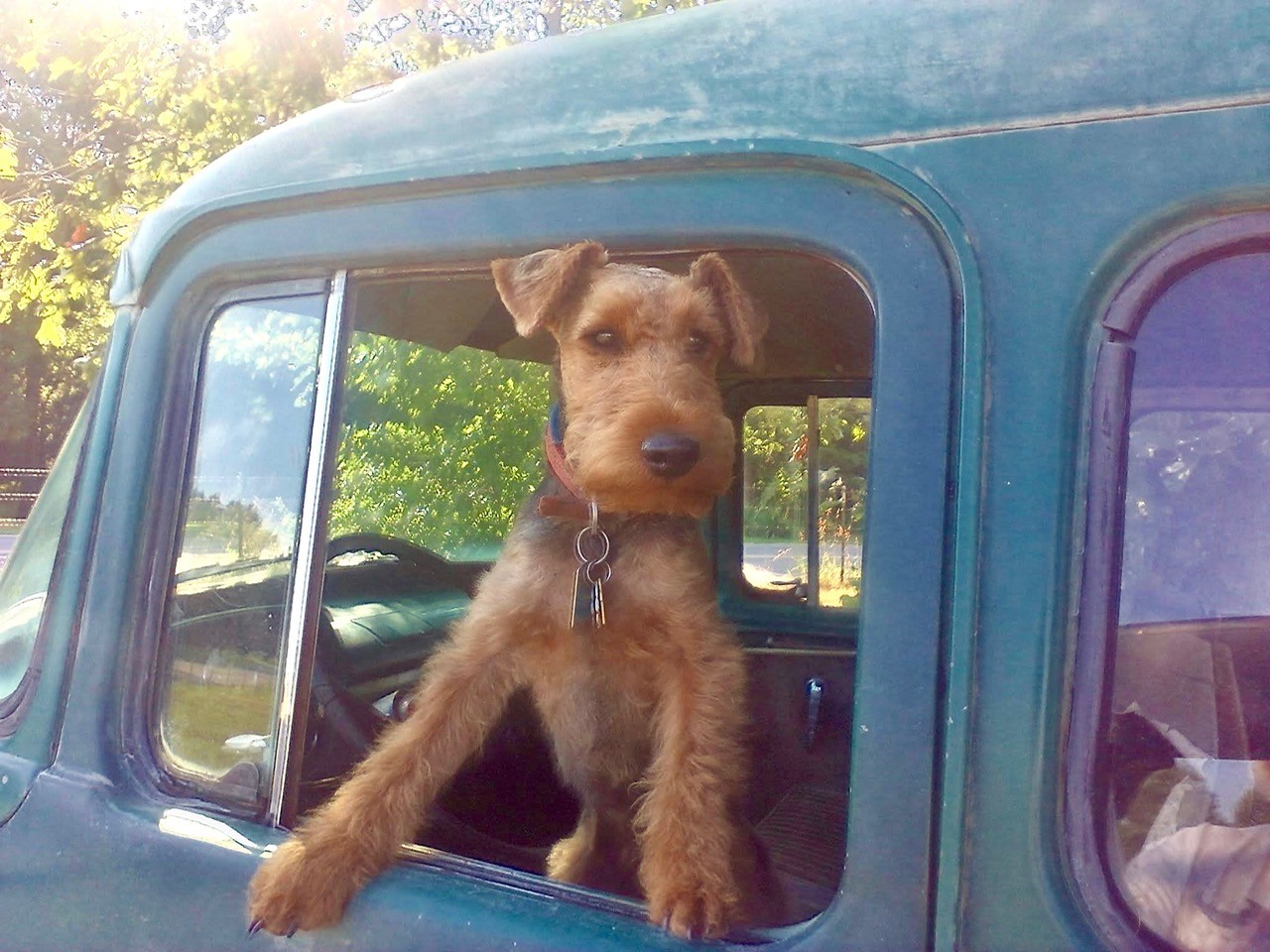 Abraham in the 65 Town Wagon