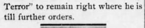 The Hawaiian Star February 1, 1895 Holy Terror 2