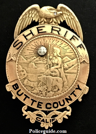 SheriffTaylor14kBadge