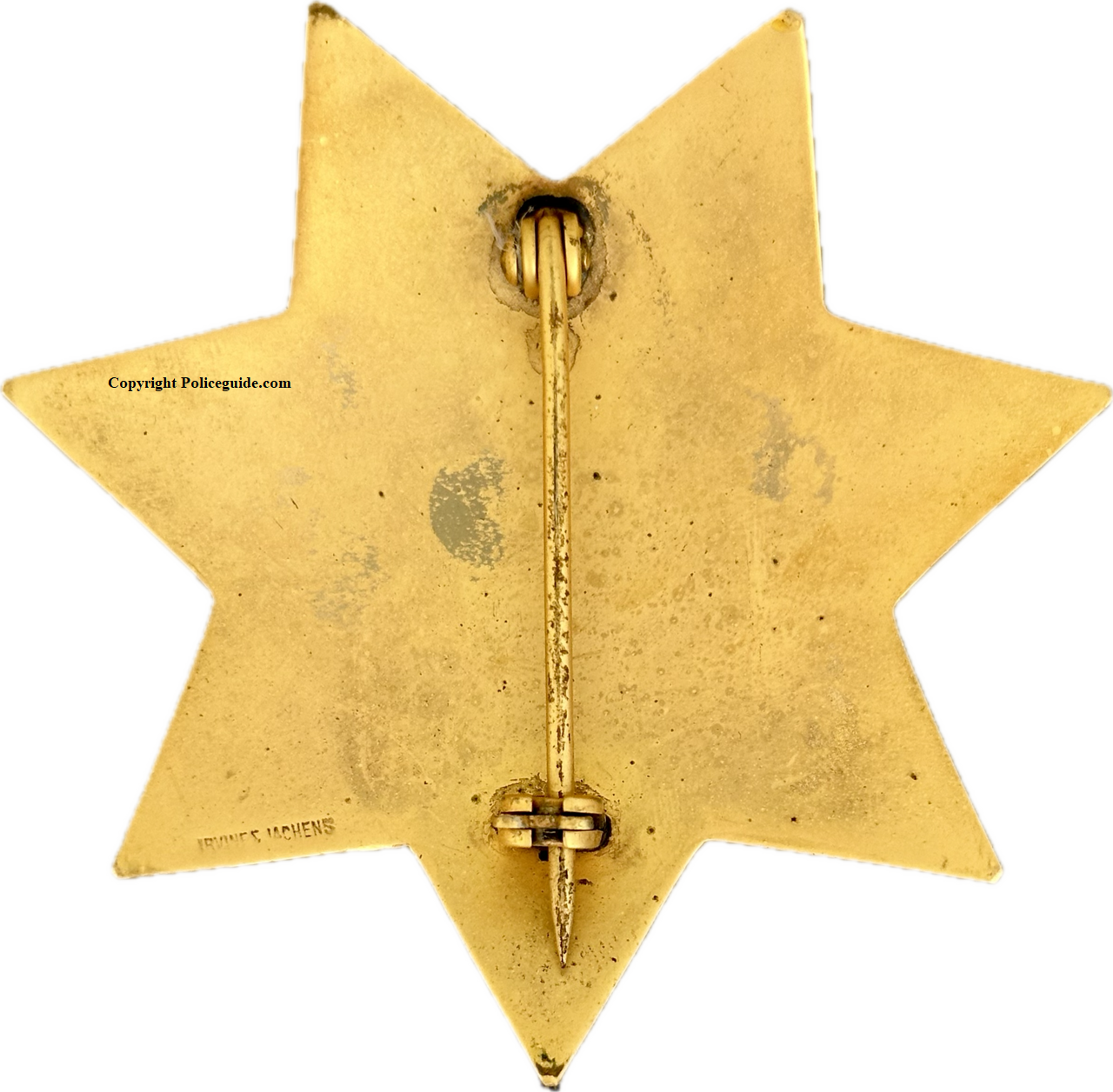 Hillsborough Police Lieutenant Voss bk