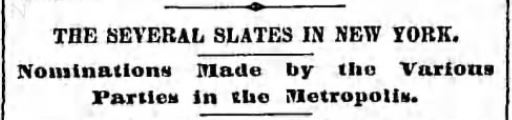 02Nov1884TheBrooklyDailyEagle-2